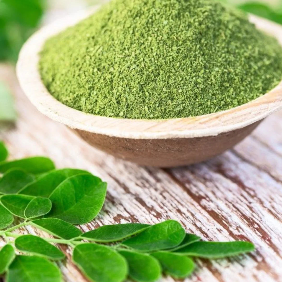 Moringa Extract