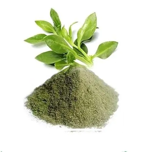 Andrographis Extract